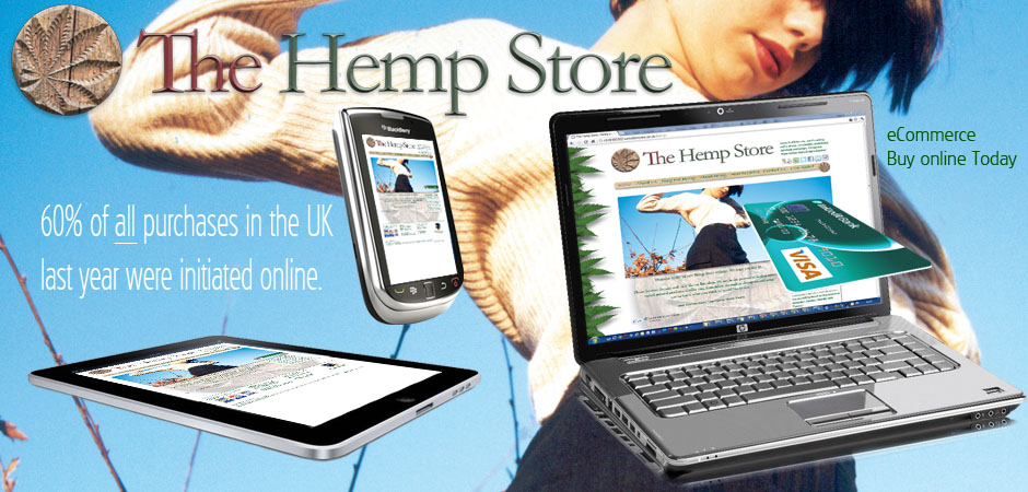 Mobile Devices and their implications for website design.